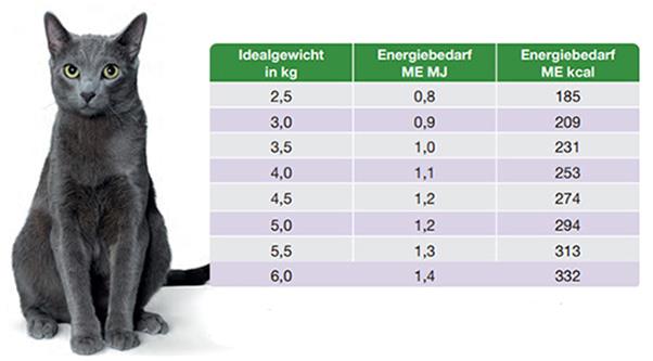 Tabelle: Energiebedarf (ME = Umsetzbare Energie in Megajoule und Kilokalorien) einer Katze im Erhaltungsbedarf bezogen auf das Idealgewicht